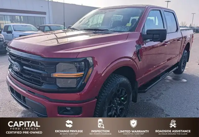 2025 Ford F-150 XLT 302A LOW KMS LOCAL TRADE BLACK PACK