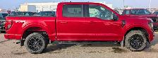 2025 Ford F-150 XLT 302A LOW KMS LOCAL TRADE BLACK PACK - Photo 6