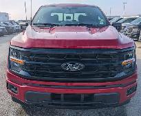 2025 Ford F-150 XLT 302A LOW KMS LOCAL TRADE BLACK PACK - Photo 8