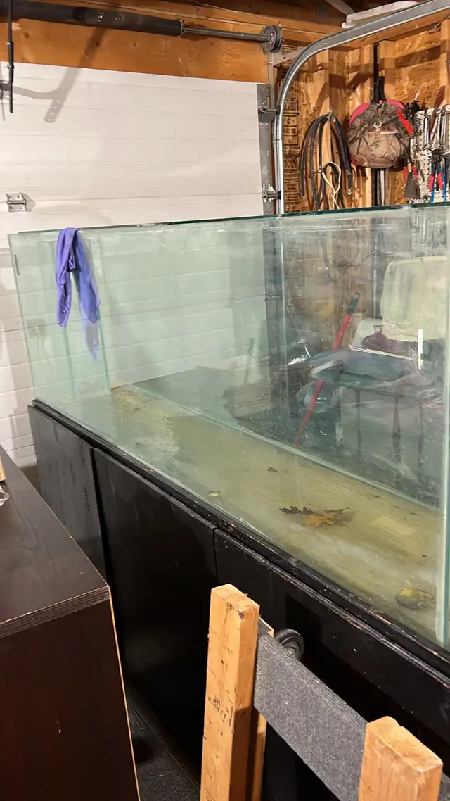 tank and stand
