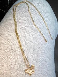 Gold chain & pendant