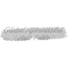 Mitsubishi Lancer Evolution 2008-2015 Grille (Upper) Evolution - Photo 5