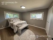 Beautiful Renovated 3 1 Bedroom Home in East Windsor! Plus Util - Photo 39