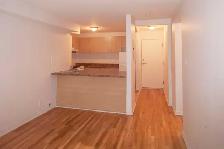 3.5 for rent, November 1, near Snowdon, HEC, UdeM - ID 2584