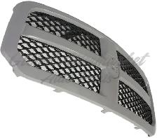 Ram Pickup Ram Classic 2019-2024 Grille Ptm Without Mounting - Photo 2
