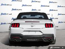 2026 Ford Mustang - Photo 5