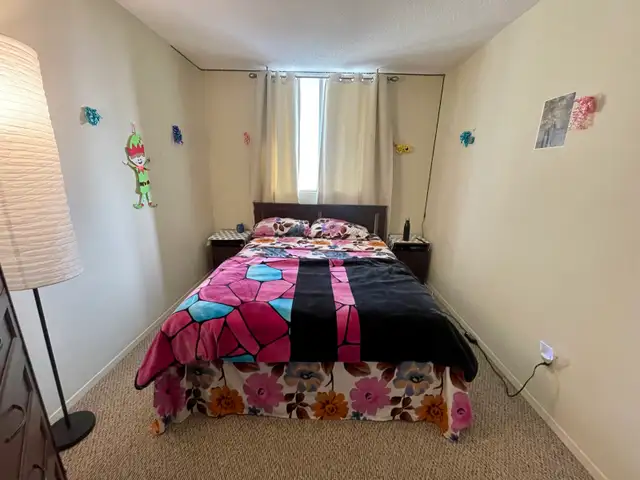 $825 clean highrise private room  for rent