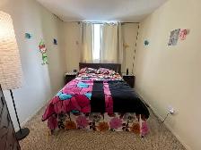 $825 clean highrise private room  for rent