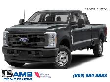 2027 Ford F-350 Super Duty SRW PLATINUM 6.8' Box 713A