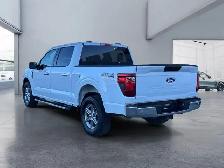 2025 Ford F-150 XLT - Photo 3