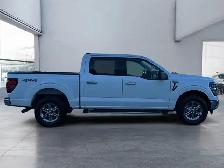 2025 Ford F-150 XLT - Photo 6