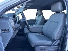 2025 Ford F-150 XLT - Photo 10