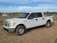 2010 Ford F150
