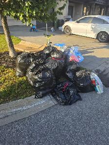 Junk and garbage removal - Photo 3