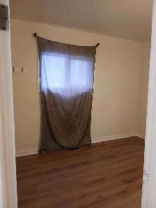 Renovated 4 bedroom house for rent - Photo 3