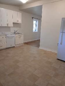 Renovated 4 bedroom house for rent - Photo 8