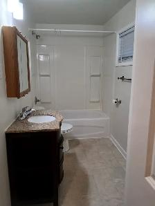 Renovated 4 bedroom house for rent - Photo 9