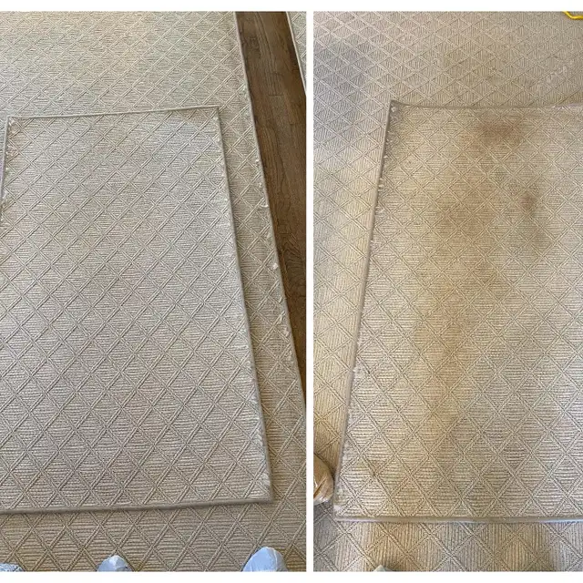 Nettoyage tapis, sofa et vitres