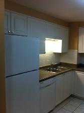EXECUTIVE 3BDRM Townhome For RENT in ORLEANS December 1st $2,725 - Photo 5