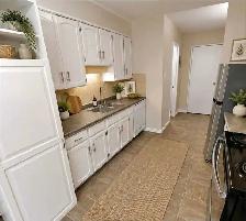 For RENT 2bed 2bath $1395mo. - Photo 2