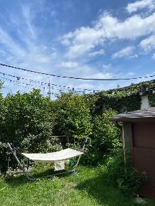 One furnished room for rent in Toronto Downtown (Just Female) - Photo 8