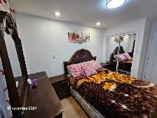 MAGNIFIQUE 4 ½ RÉNOVÉ – LUMINEUX, MODERNE ET MEUBLÉ ! - Photo 4