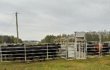 ranch hand portable working coral - Photo 2