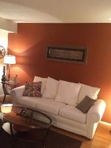 Professional Painting Services