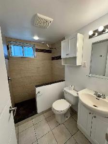 Studio for rent - Photo 5