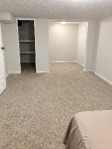 Very large basement bedroom. Whole basement! - Photo 2