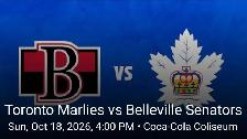 2 Toronto Marlies Tickets For Sale For Sunday October 18th