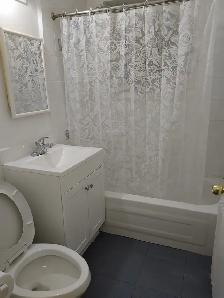 Large and Clean 1 bedroom apartment close to all Amenities - Photo 7