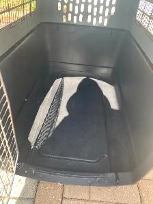 Petmate Large Dog Crate - 27' (W) x 40' (L) x 29' (T) - Photo 5
