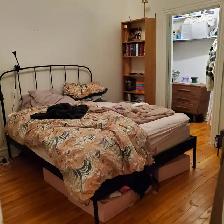 Centretown - Large 2 bedroom Victorian - Dec 1st - Photo 23