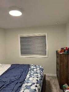 Blackout Cellular Blinds