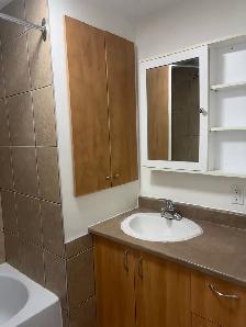 très beau 5½ rue Chabot, secteur Vanier, demi sous-sol libre - Photo 18