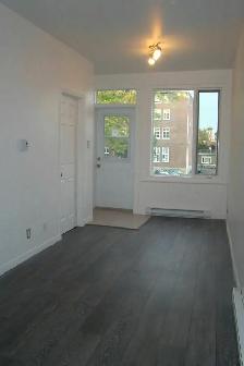 Superbe 4 1/2 RÉNOVÉ, Marie de l'Incarnation, - Photo 5