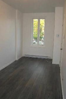 Superbe 4 1/2 RÉNOVÉ, Marie de l'Incarnation, - Photo 7