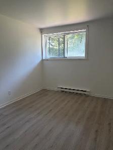 Superbe 4 1/2, rue Pie-X Lévis, sur 2 étage, LIBRE - Photo 6