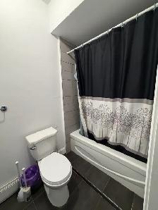 Très beau 4 1/2, Ave. Capricieuse, Clé en main Libre - Photo 12