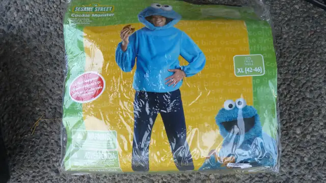 Adult Halloween Costumes