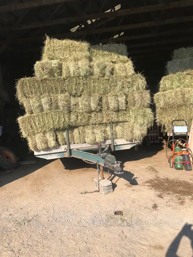 hay small square bales delivery possible
