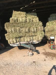 hay small square bales delivery possible