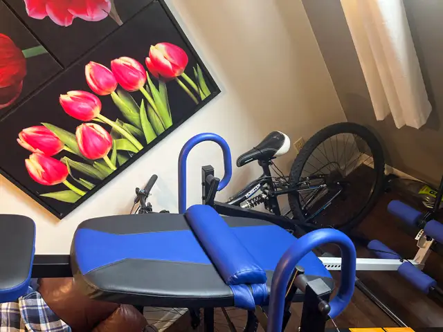 Brand new gravity inversion table
