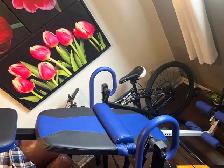 Brand new gravity inversion table