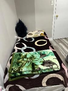 Private room with Personal washroom Nov 1 Brampton - Photo 7