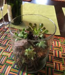 Halloween.,Terrarium Succulentes en verre, plantes, cadeau, Noël - Photo 3