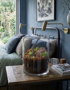Halloween.,Terrarium Succulentes en verre, plantes, cadeau, Noël - Photo 5
