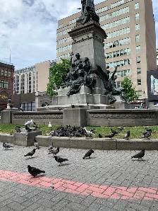 1 Br for rent in downtown Mtl - Photo 8