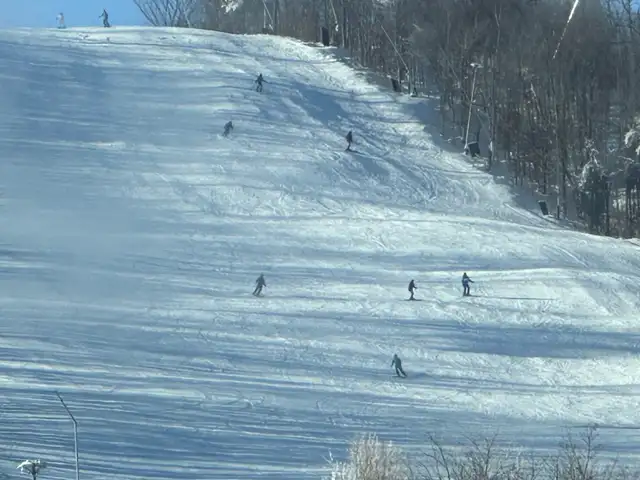 Room(s) in Collingwood ~ BLUE MOUNTAIN Snowboarders welcome